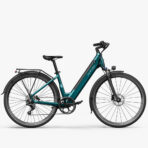 Fiido C11 City E-bike (New)