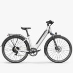 Fiido C11 City E-bike (New)