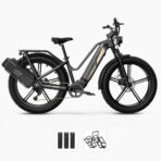 Fiido Titan Robust Cargo Electric Bike (New)