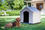 Curver Sandy Pet House Outdoor Sand (New)