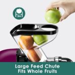 Cold Pressed Juicer, Masticating, Whole Fruit, 2-Speed, BPA-Free, Grey (New)