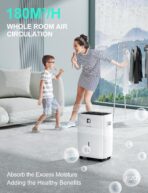 30L/Day Dehumidifier with Digital Display & 24H Timer (New)