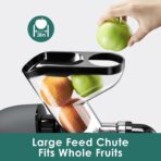 Cold Pressed Juicer, Masticating, Whole Fruit, 2-Speed, BPA-Free, Grey (New)