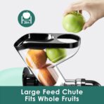 Cold Pressed Juicer, Masticating, Whole Fruit, 2-Speed, BPA-Free, Grey (New)