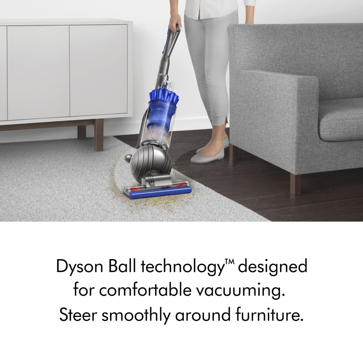 Dyson Ball Animal 2 Total Clean Upright Vacuum, Iron/Blue (New)