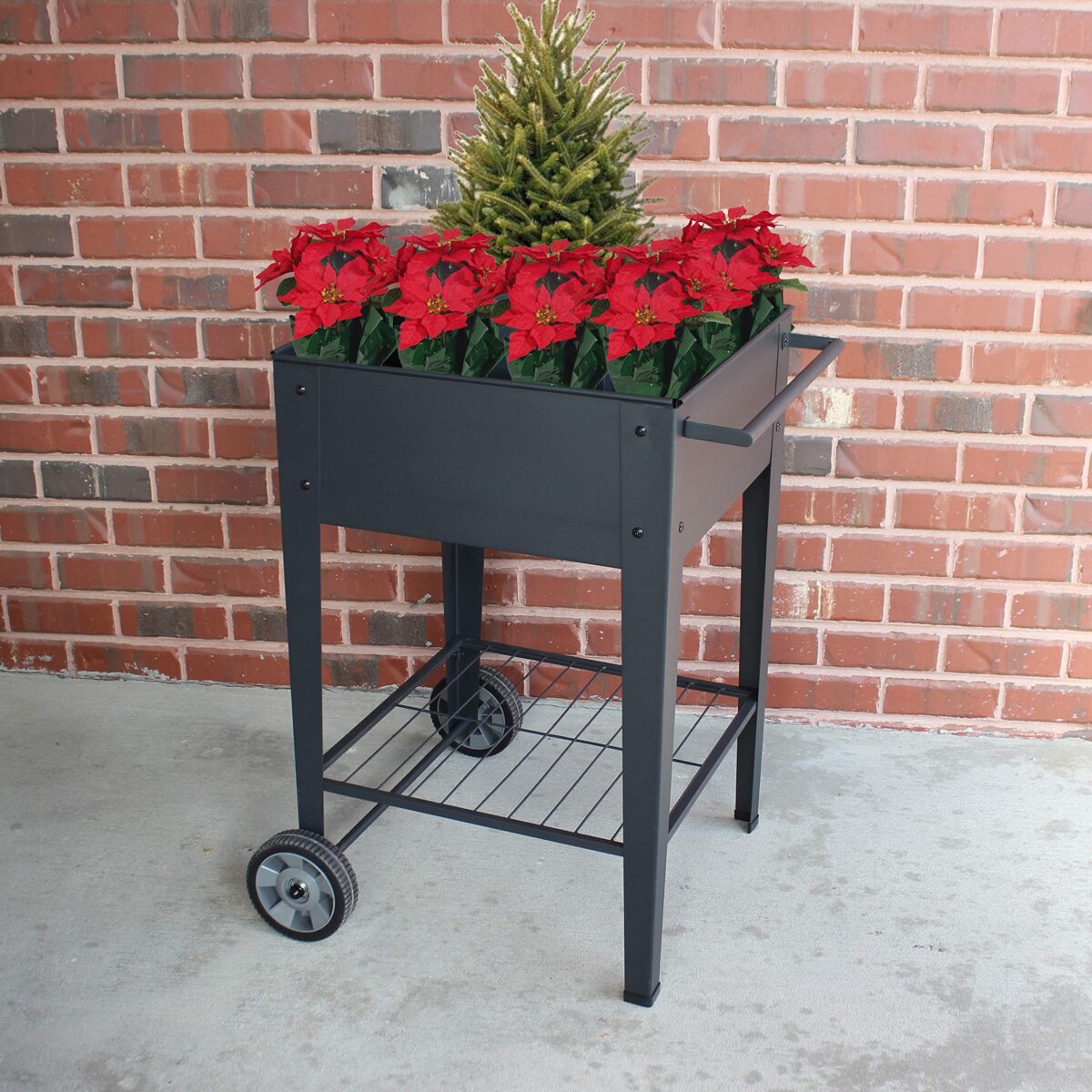 GarraÌ Raised Planter Box, Movable Garden Cart with Wheels, Outdoor. (New)