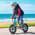 Fiido Kidz Electric Balance Bike (New)