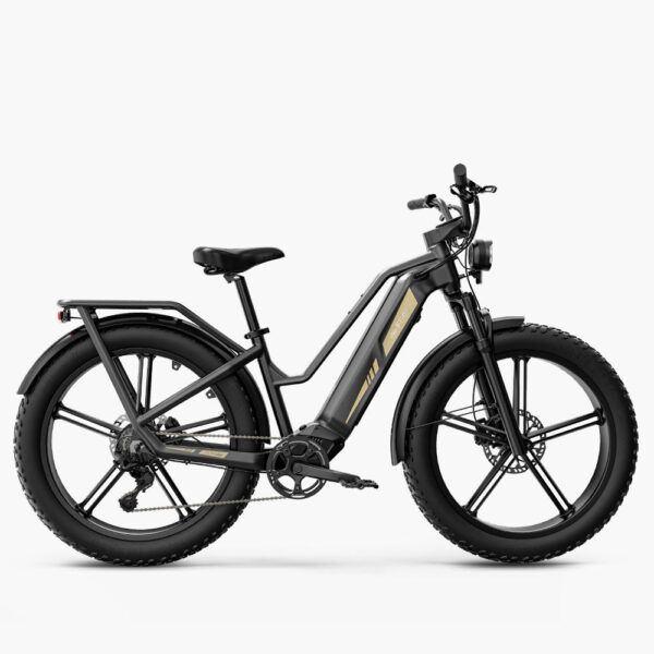 Fiido Titan Robust Cargo Electric Bike (New)