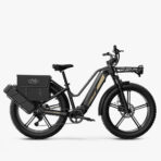 Fiido Titan Robust Cargo Electric Bike (New)