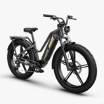 Fiido Titan Robust Cargo Electric Bike (New)