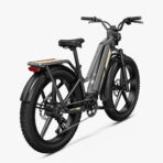 Fiido Titan Robust Cargo Electric Bike (New)